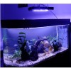供应LED水族灯