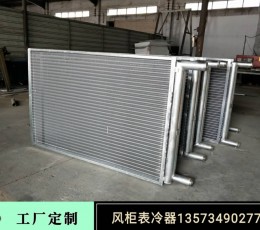 表冷器 (0)